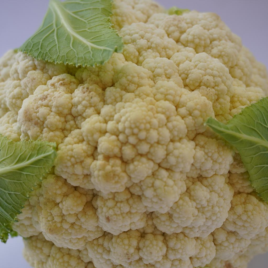 Coliflor