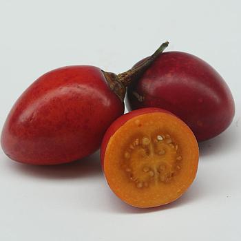Tomate de árbol