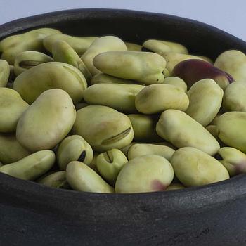 Habas tiernas